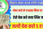 Bihar Labour card Yojana payment check 5000 kaise kare online: बिहार लेबर कार्ड से पैसा मिलाया नहीं ऐसे चेक करें
